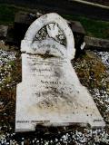 image number IMG_5564